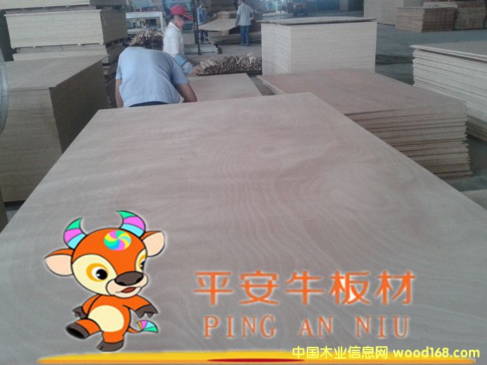 ߙnҾ߶Ӱzϰ塢ľNԔ(x)B