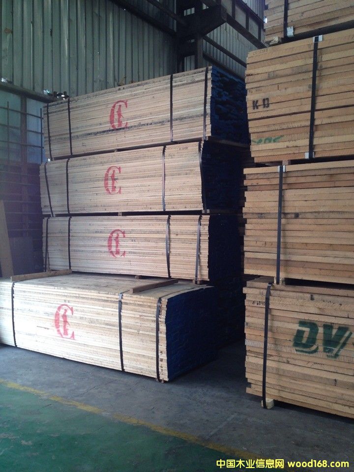 紅獵人的詳細(xì)介紹