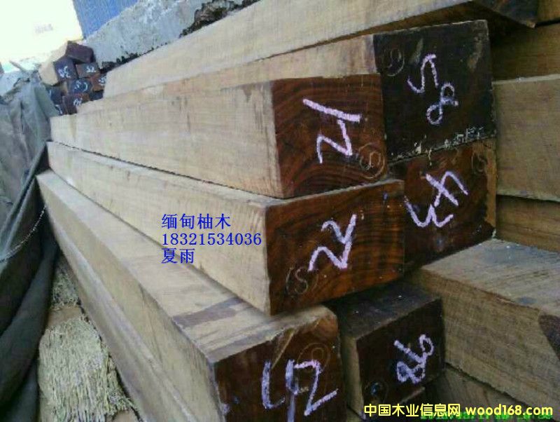 緬甸柚木的詳細(xì)介紹