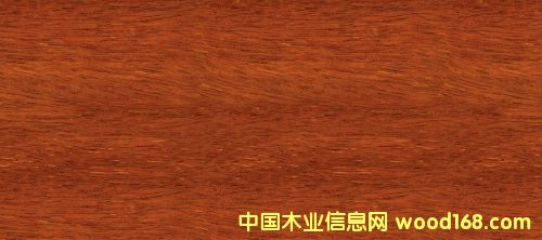 菠蘿格的詳細介紹