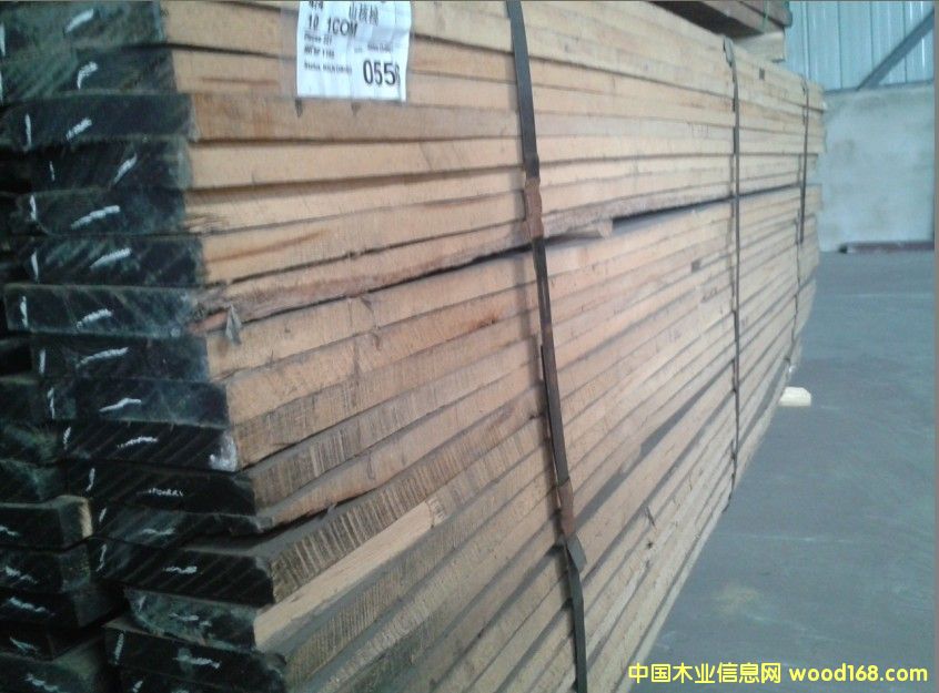 山核桃的詳細(xì)介紹