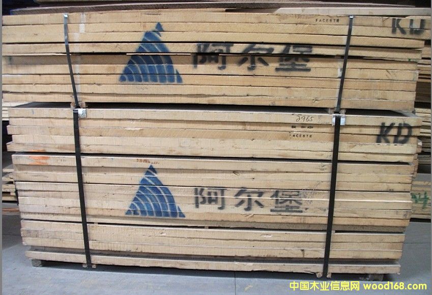 白臘木的詳細(xì)介紹