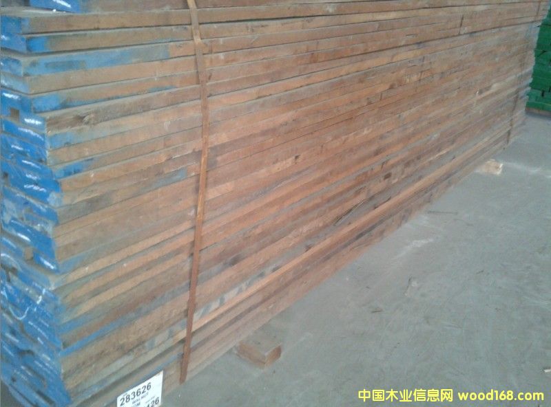 黑胡桃的詳細(xì)介紹