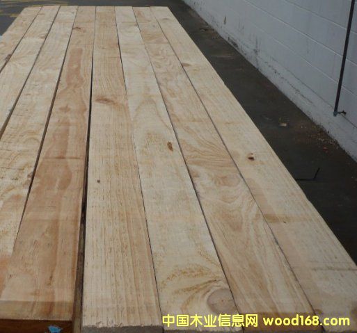 COL GRADE KD RS/S4SԔ(x)B