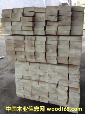 輻射松的詳細(xì)介紹