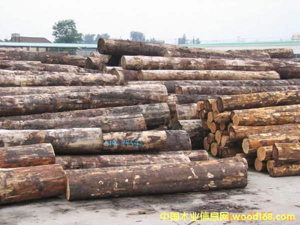 Fɼ/ôFɼ/FɼԭľԔ(x)B