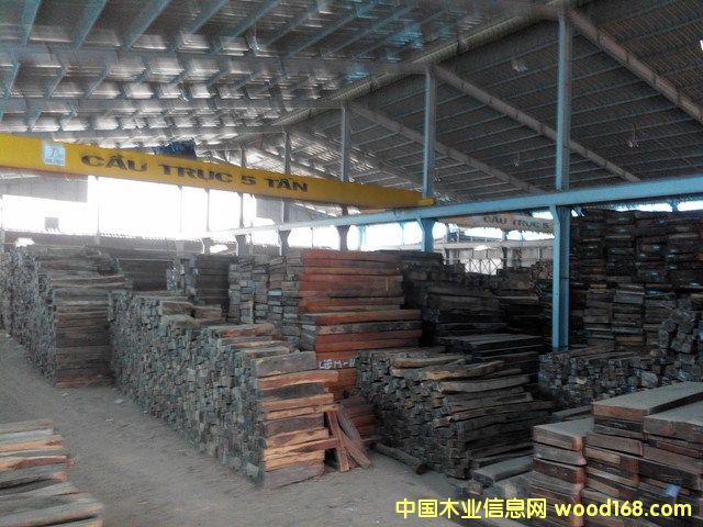 老撾花枝的詳細(xì)介紹