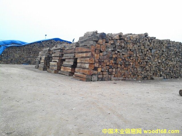 草花梨的詳細(xì)介紹