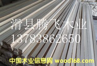 бPI(y)ļӹԔ(x)B