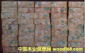 龍骨的詳細(xì)介紹