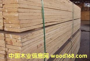 輻射松的詳細(xì)介紹