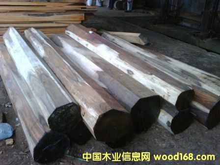 闊葉黃檀的詳細(xì)介紹