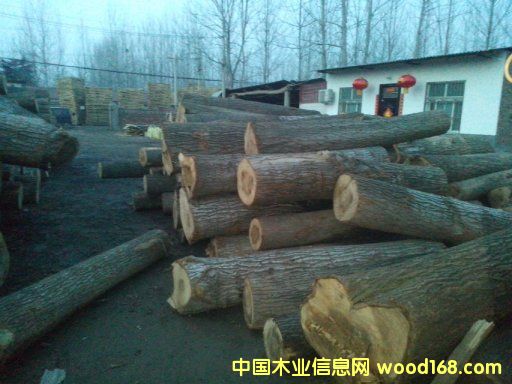 [] (yng)ϰחľɻġחľ