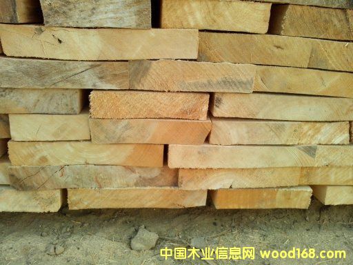 [] (yng)ϰחľɻחľ