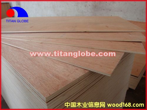 Bingtangor Plywood-Titan GlobeԔB