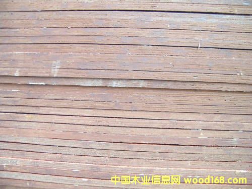 z-ȫľL(zhng)ɳͨľI(y)l(f)Ԕ(x)B