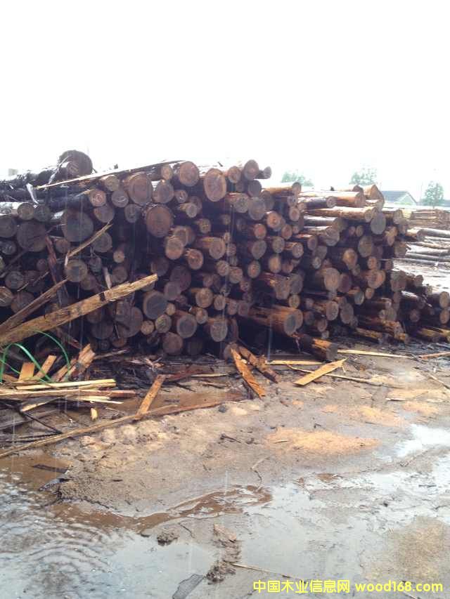 [] ُ(gu)ձɼľ҂һ؛Դɼ