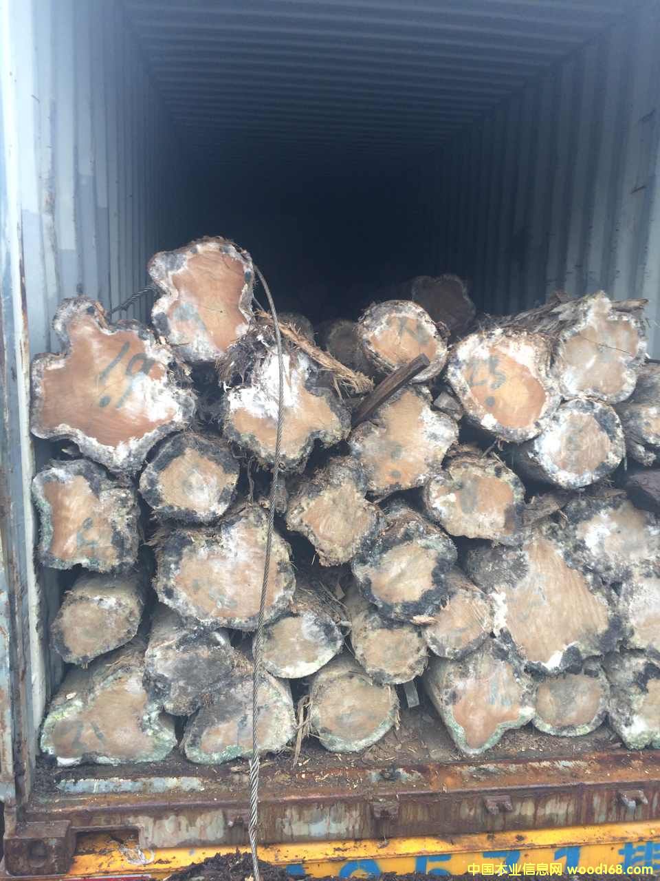 FSC 100%˹_(d)ľԔ(x)B