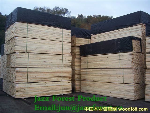 [] ôľĹ˾ֱSPFɼFɼ