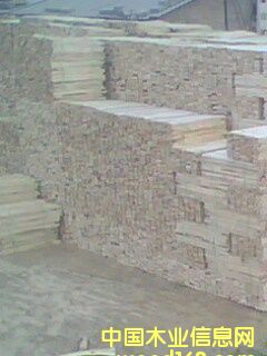 c(din)鿴ͩľоlŴDƬ