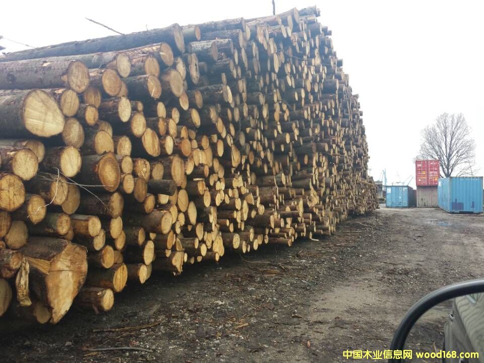 Wɼԭľ ֱ20cmϵԔ(x)B