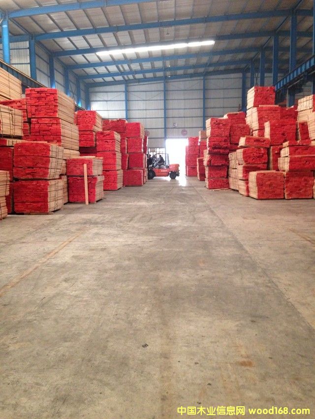 歐洲櫸木的詳細(xì)介紹