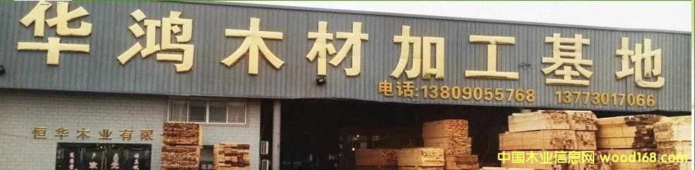 鐵杉的詳細(xì)介紹