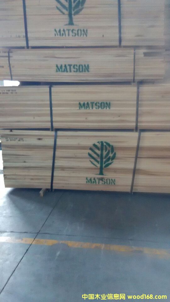 黃楊木的詳細(xì)介紹