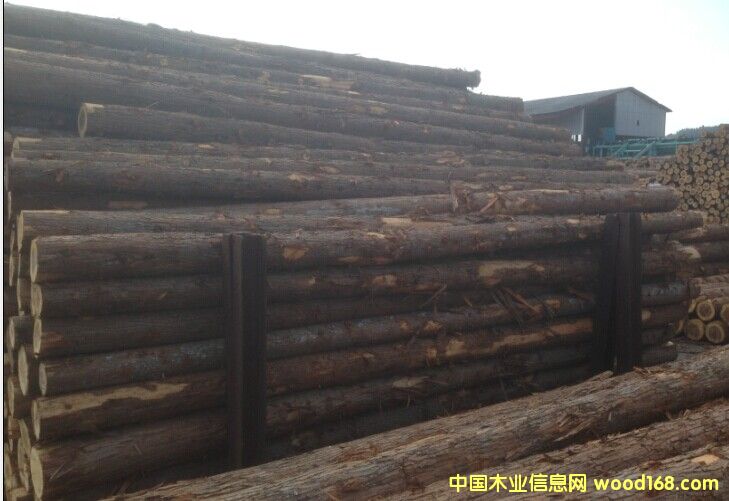 柳杉原木的詳細(xì)介紹