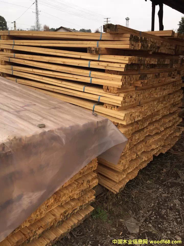 裝飾條的詳細(xì)介紹