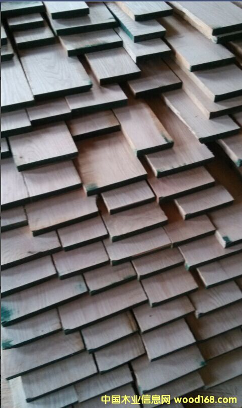 紅橡的詳細(xì)介紹