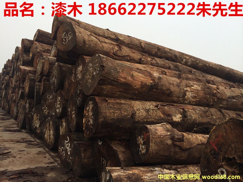 漆木的詳細(xì)介紹