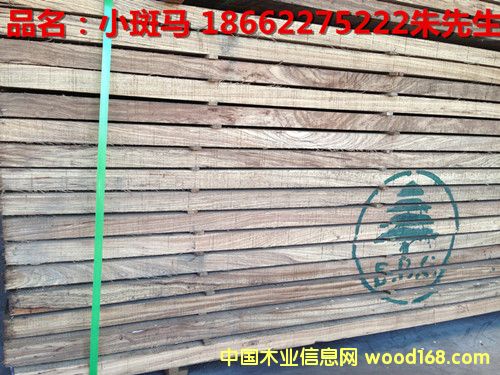 小斑馬的詳細(xì)介紹