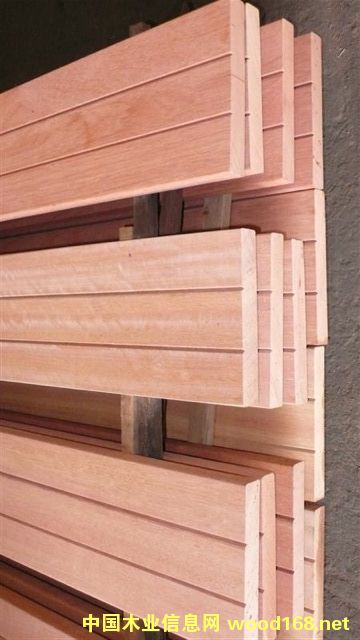 山樟木的詳細(xì)介紹