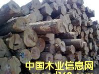 灆ǾGоľM(jn)ڈP(gun)-ϺۼtľM(jn)ڈP(gun)˾