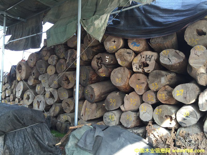 黨ԭľ40 cm X 4 m)Ԕ(x)B