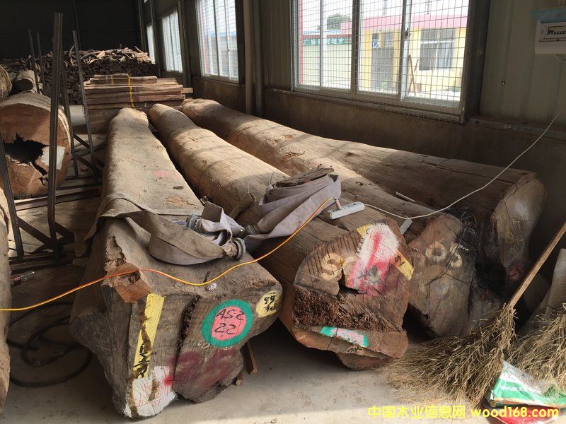 黨ԭľ (80 cm X 8 m)Ԕ(x)B