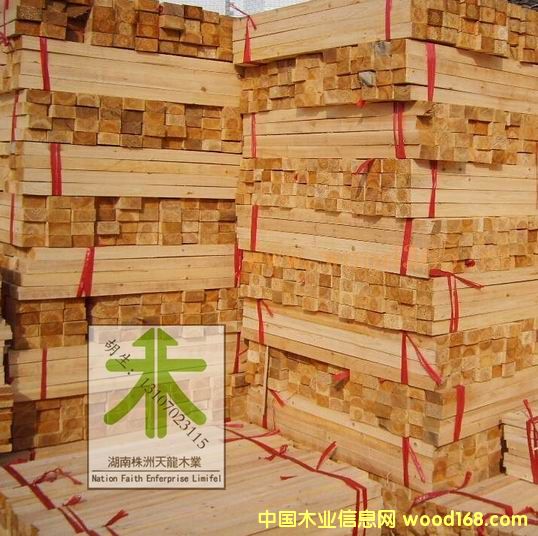 杉木條的詳細介紹