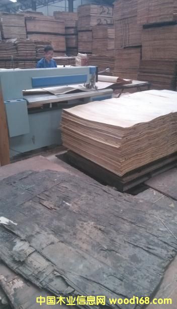 c(din)鿴ΰBоC(j)ŴDƬ