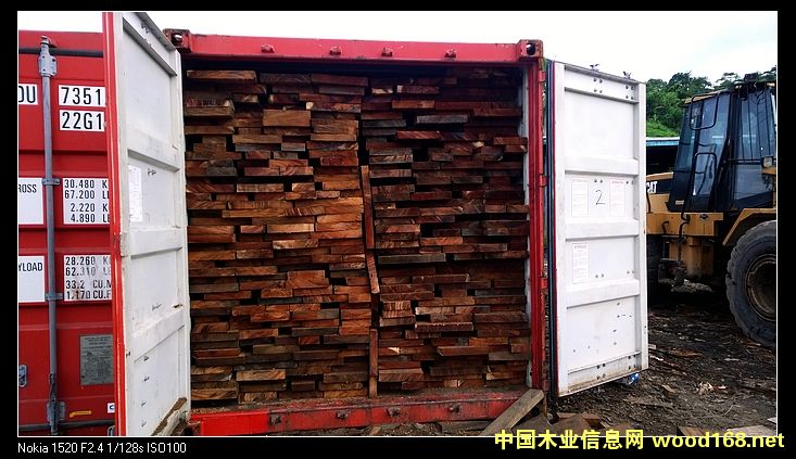 黑胡桃的詳細(xì)介紹