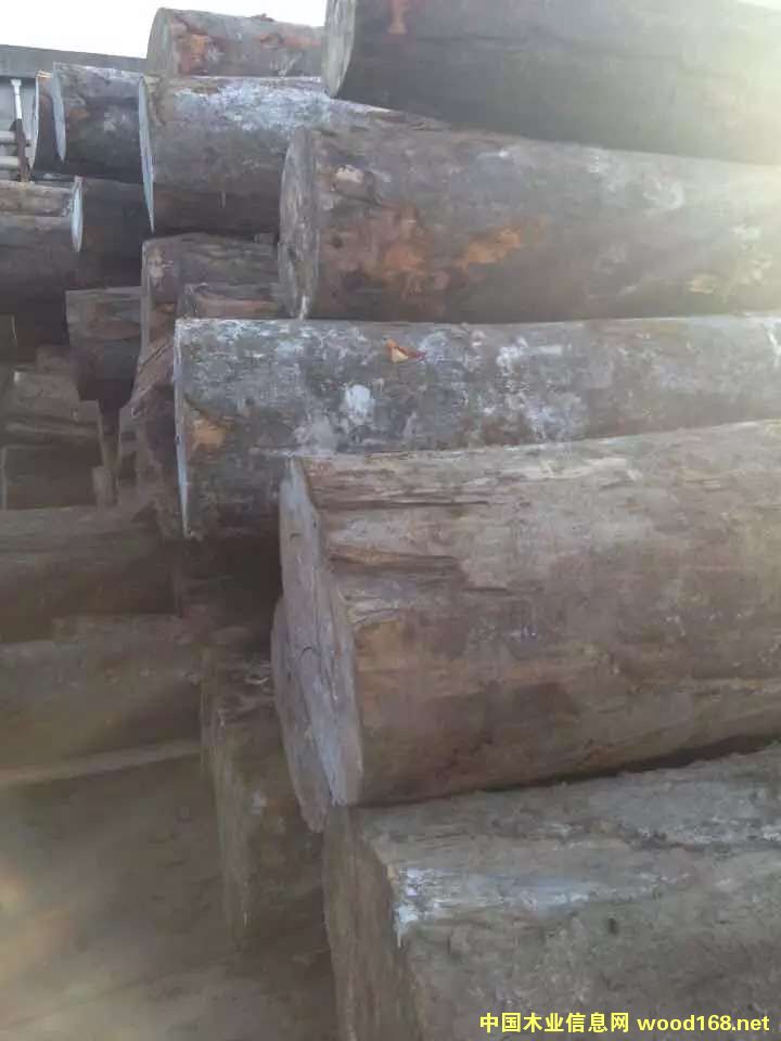 WޙľԭľF(xin)؛ԔB