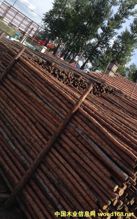 ߀д󲿷ľě]ЈDƬԔ(x)B