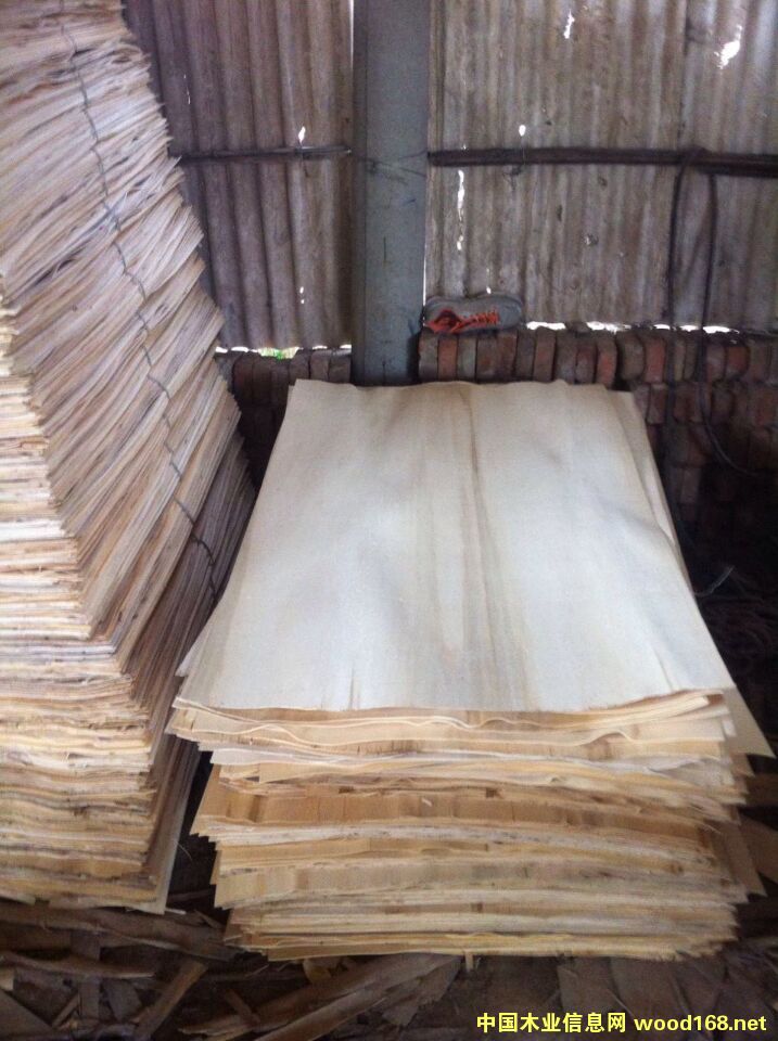 ľƤľΰ壬ľA13914807777Ԕ(x)B