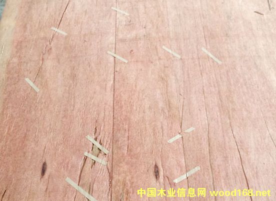 板芯的詳細(xì)介紹