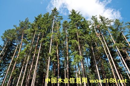 PEFCJ(rn)C(du)m֘I(y)Ӱh(yun)