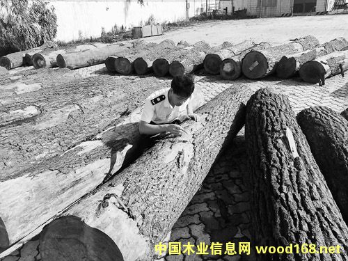 Q(mo)^(q)״M(jn)ښWԭľ