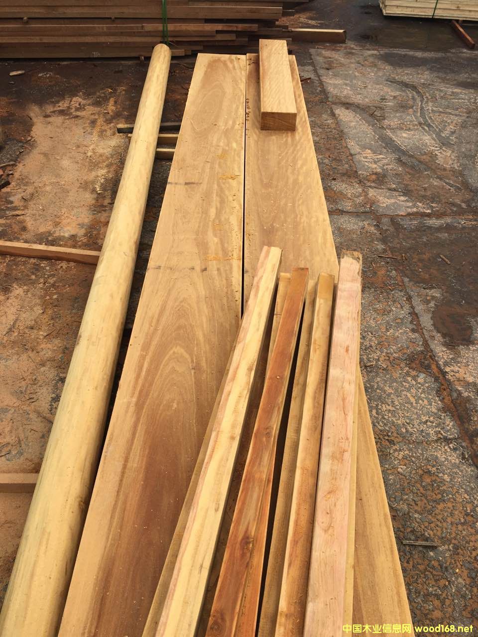 巴蒂木的詳細(xì)介紹