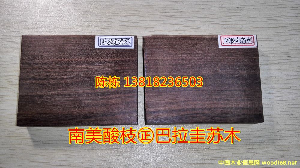 ֦Kľţľz̴̴С~̴޺S̴Ԕ(x)B