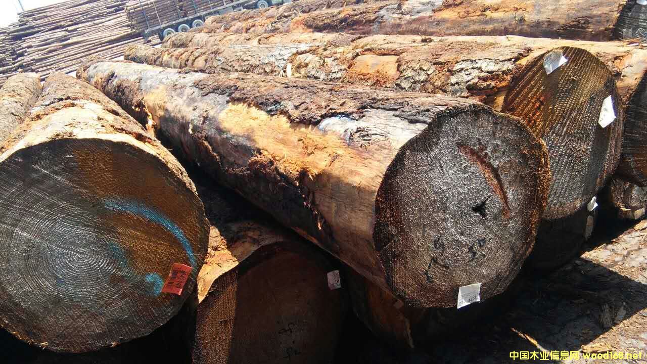 ԭľ󏽱ĵԔ(x)B