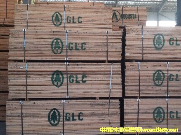 紅橡的詳細(xì)介紹